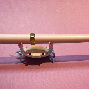 Ferris Wheel Press Bijou pen in Huffin Puff Pink colourway - posed with pen crab